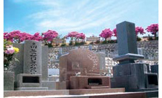 納骨・維持管理・ご供養・献花が一体で安心の永代供養墓