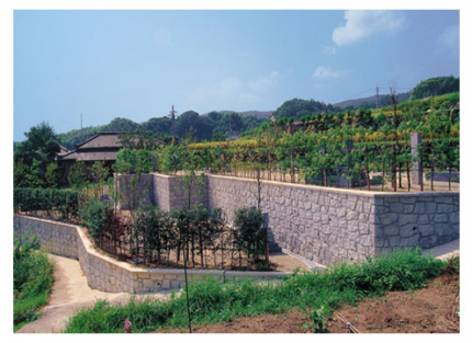 南生駒霊園は、生駒山麓に位置し、四季折々の表情も美しい霊園です。