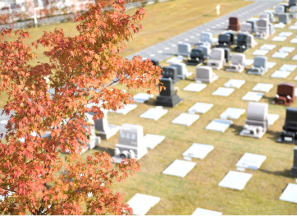 バリエーション豊富な区画!美しく整備された区画にはお墓とお墓の間隔を広く設けた「ゆとり墓所」を用意。