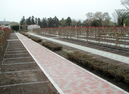 近隣には、芹沢公園あります。春には満開の桜、夏には豊緑、秋には紅葉が彩るアドミール座間。