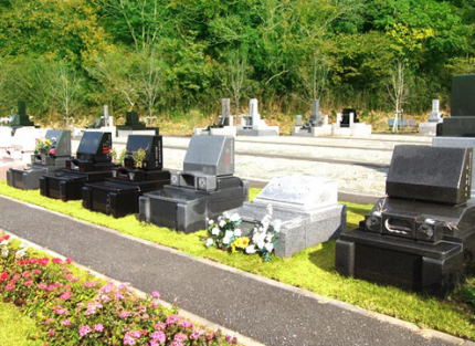 緑が鮮やかな芝生を植え込んだ明るい雰囲気の区画。