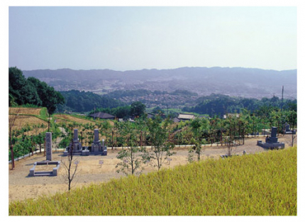 お墓参りができない時には、お寺様が代わりにご供養いただけます。