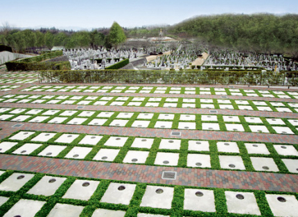 緑地墓地　墓石の周りに緑地（玉竜）を敷き詰めて、お隣と間隔をあけたゆとりの区画です。