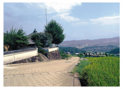 区画は、セット墓石からゆとりある大きな区画まで豊富に取り揃えております。