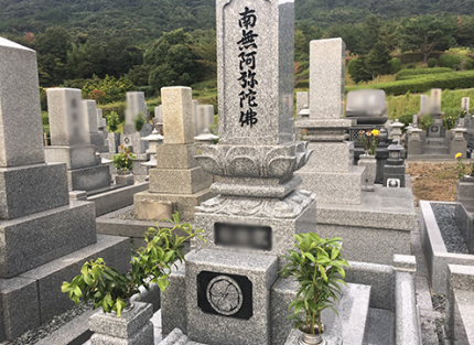 墓域の様子3