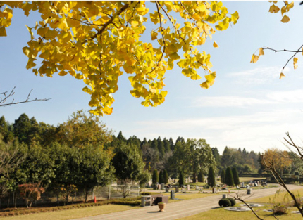 お遺骨の無い方でもお求めになれます。(お元気なうちに、お墓を建てることで安心できます。)