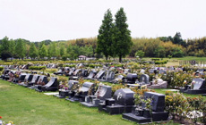 芝墓地区画では、様々なデザインの墓石が建っています。
