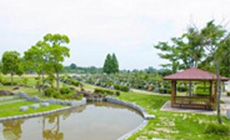 散歩やジョギングを楽しむ方の姿も見られ、自然環境に恵まれた墓地公園です。