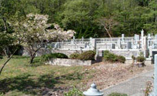 日本庭園を抜けると、お年寄りにも安心な、階段や段差の少ない静かな園内へと進みます。
