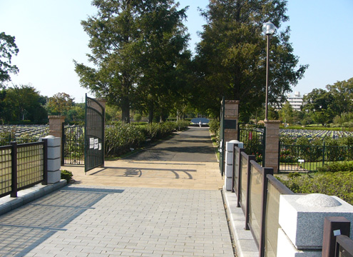 かつては、国内でも有名な遊園地「横浜（よこはま）ドリームランド」があった場所につくられた霊園です。