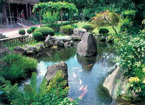 苑内には鯉が泳ぐ池もあります。
