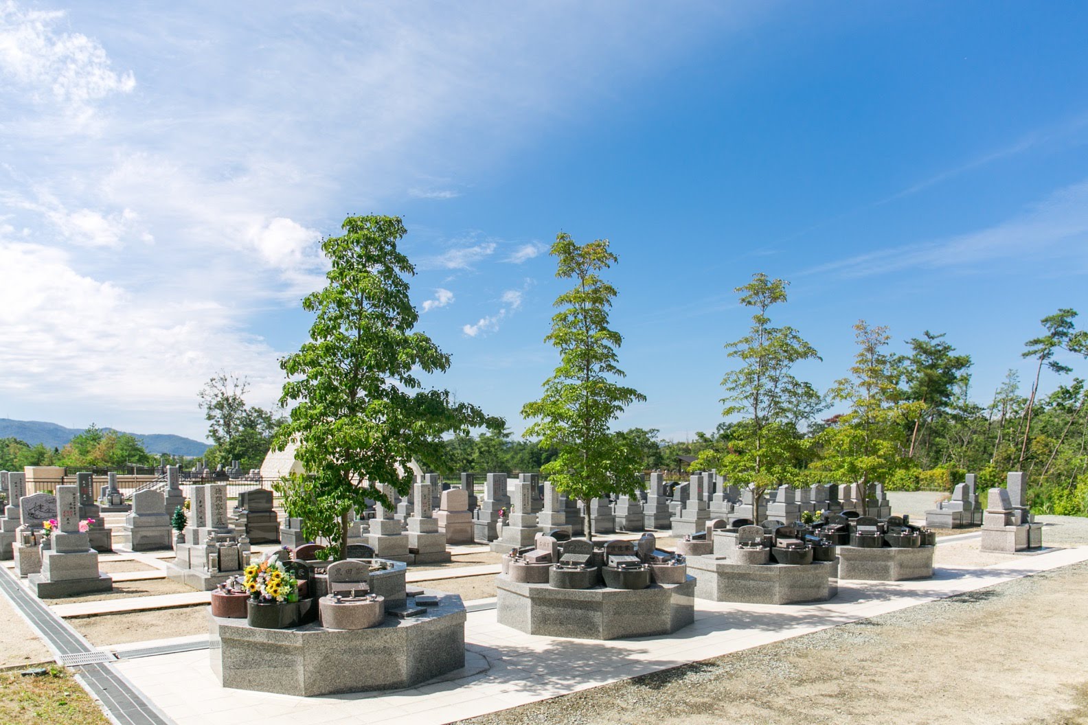 跡継ぎ不要の樹木葬区画。