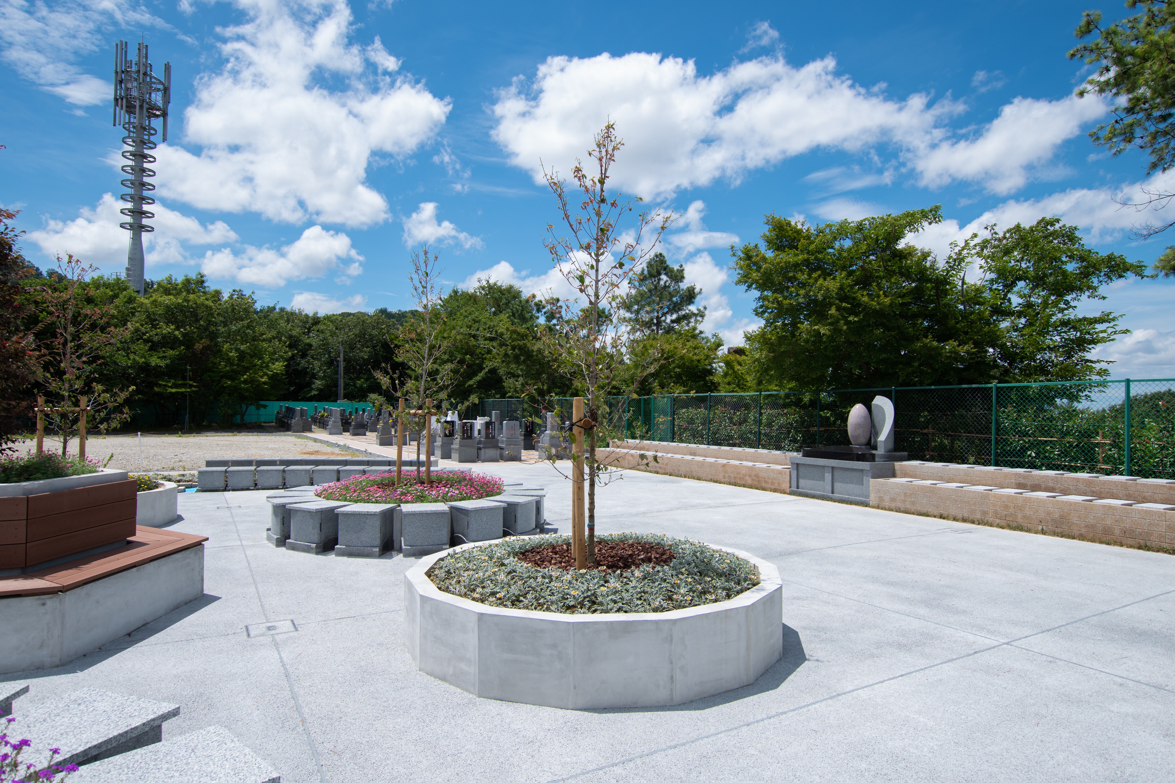 令和3年7月に開設した樹木葬専用区画「青天の森」。