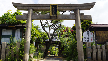 東福寺霊園