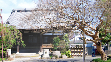 本興寺（神奈川県鎌倉市）